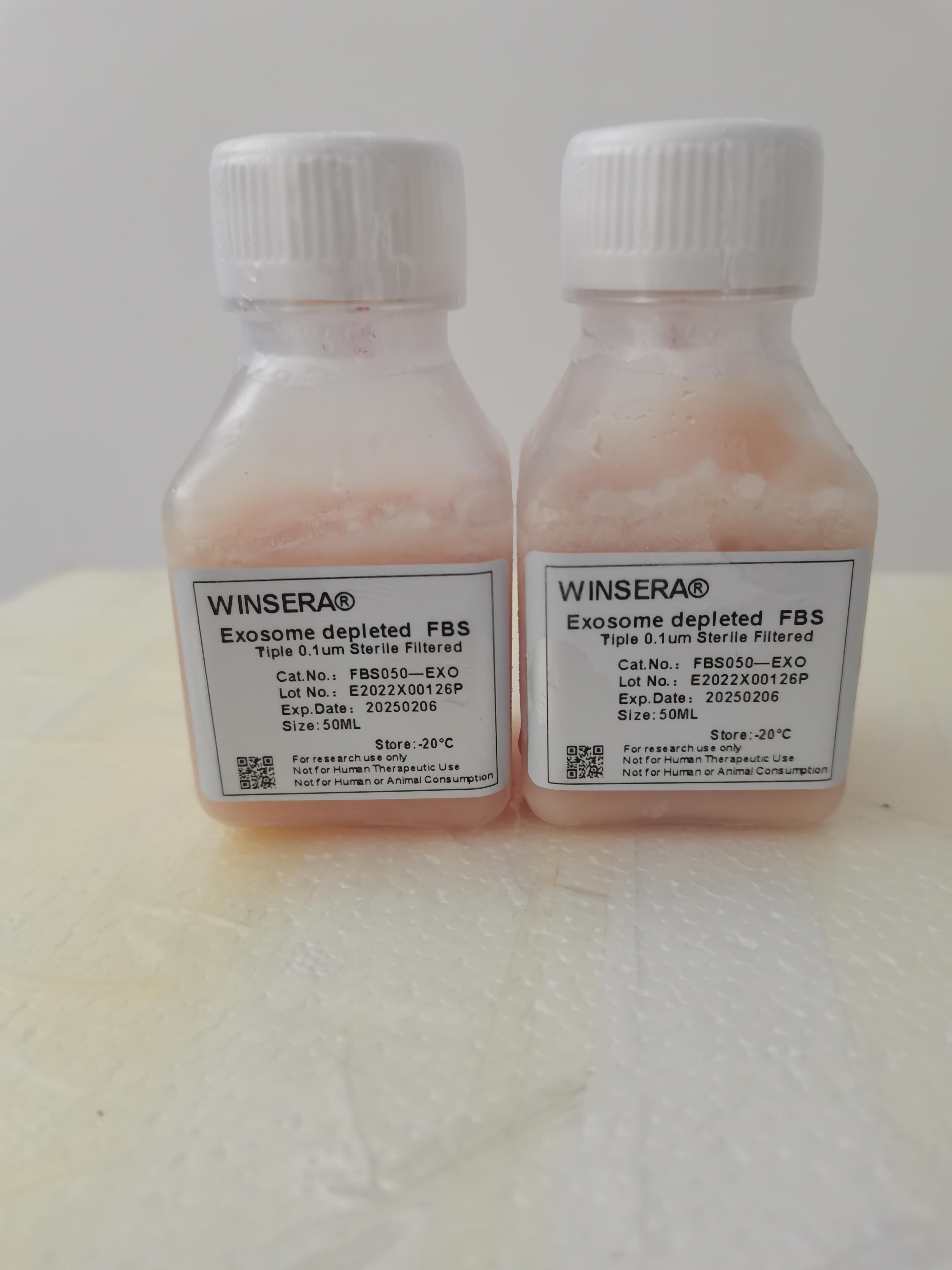 無(wú)外泌體血清