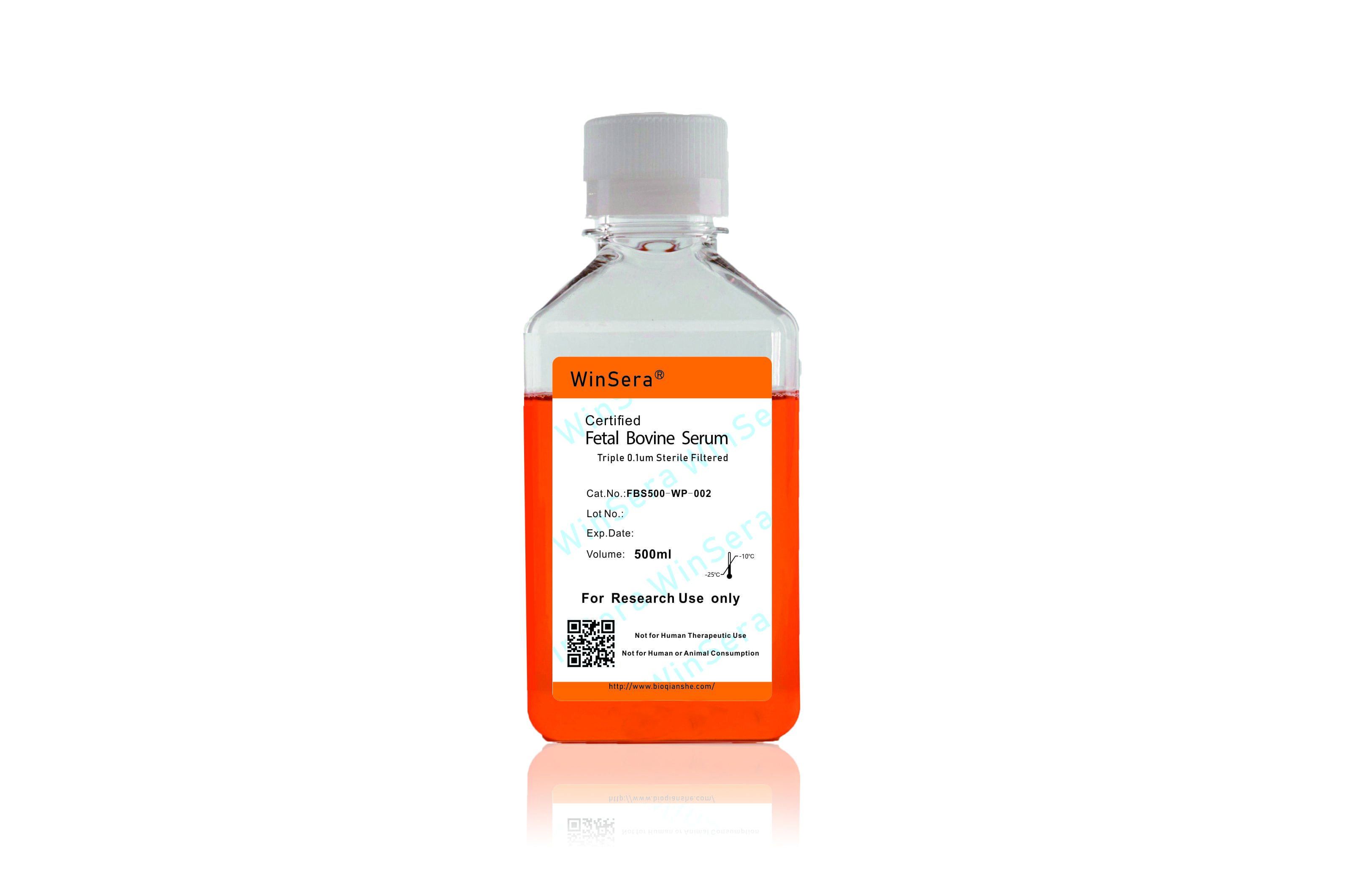 1716187604906957.jpg WP.jpg