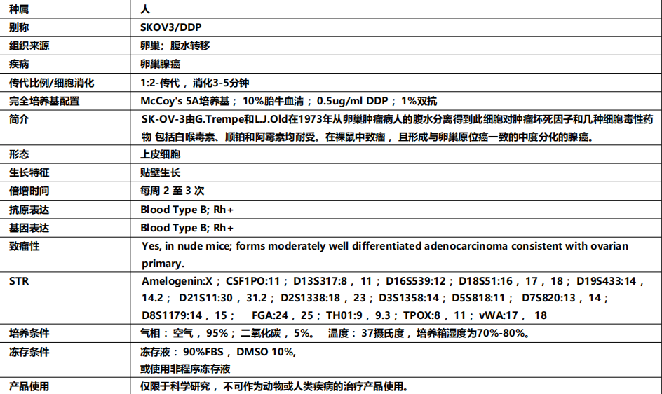 1729573908337138.jpg 1729573344324.jpg