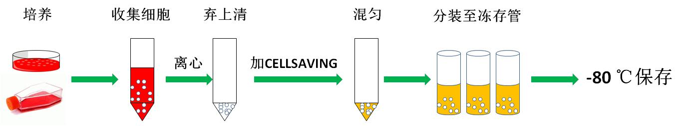 1742368733861129.png 圖片1.png