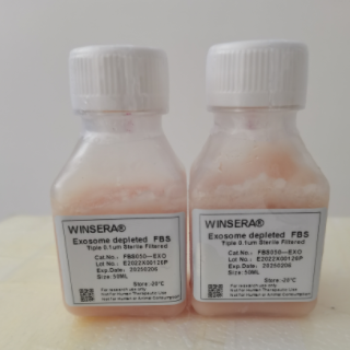 無外泌體血清