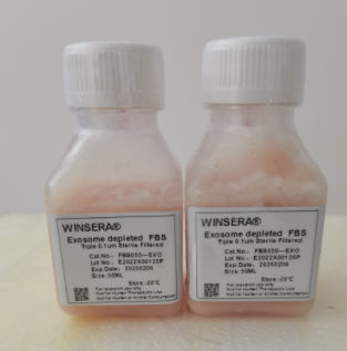 無外泌體血清